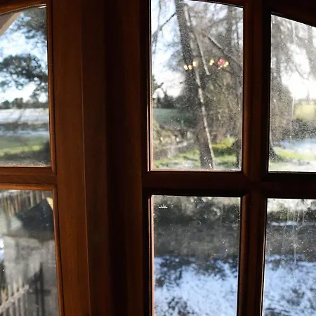 Proctors